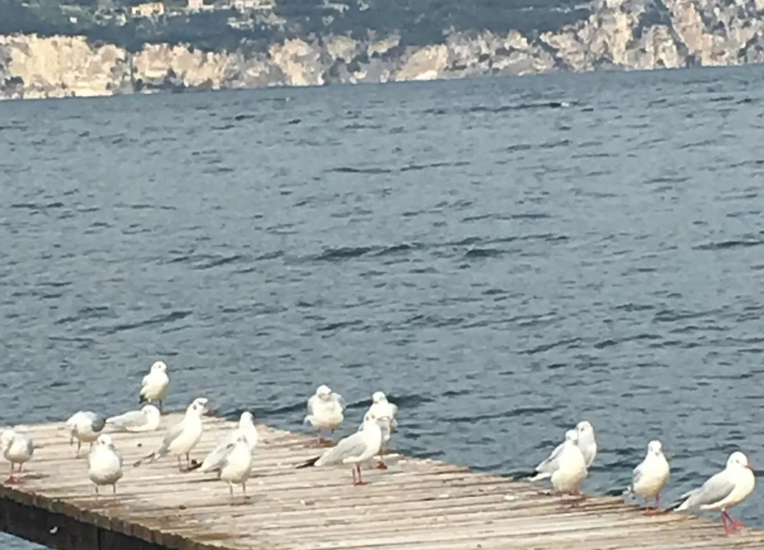 Casa Maria Lake View Apartment Brenzone sul Garda